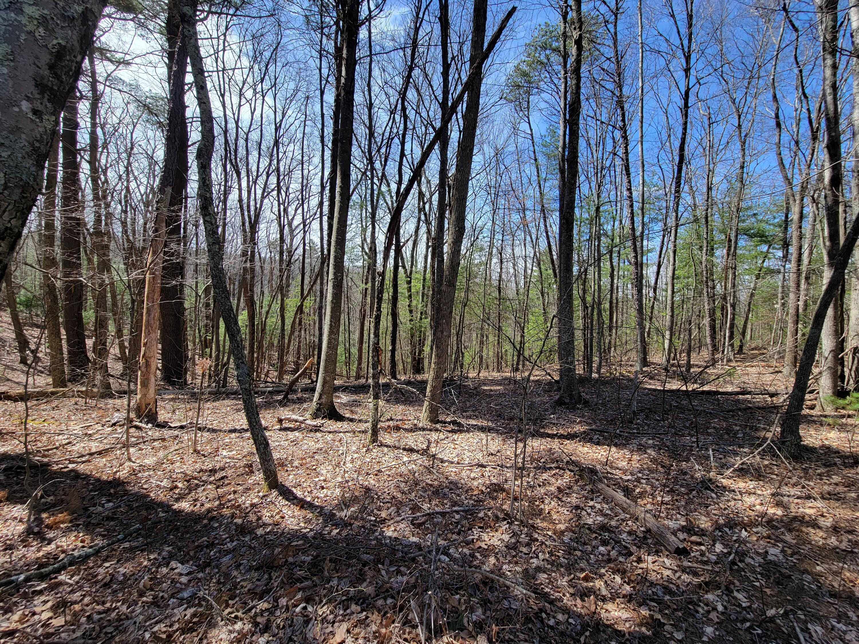 Image 4: Tuckahoe Rd