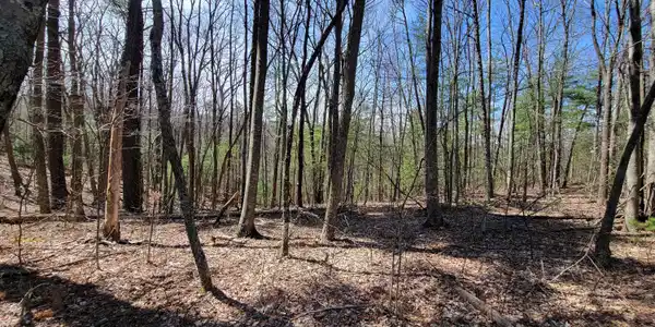 Image 4: Tuckahoe Rd