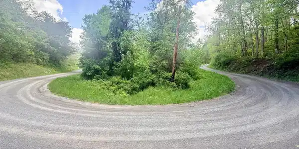 Image 2: b04e2d67-cc47-4d76-bc26-c14811ed3f6c
