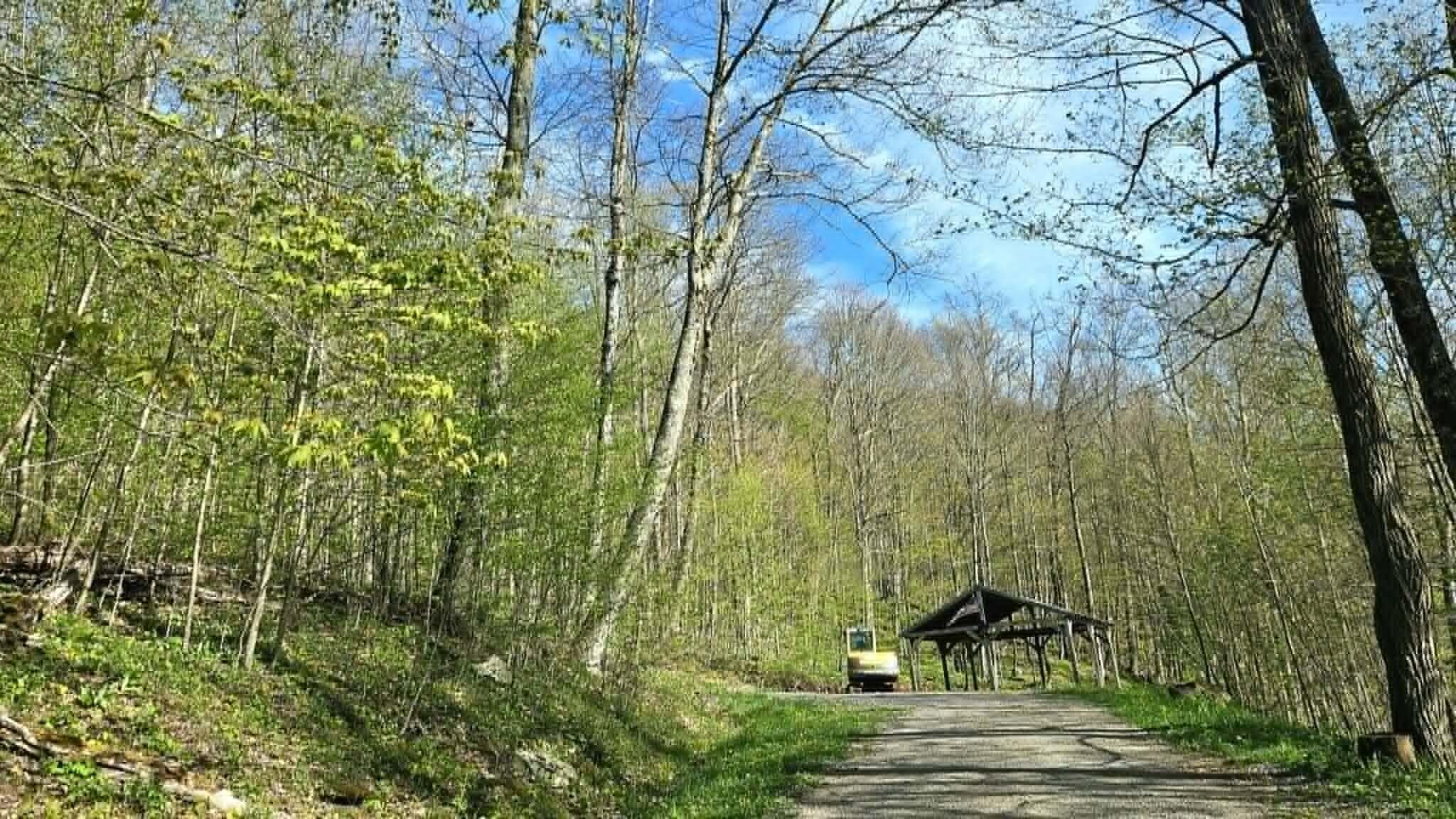 Image 3: lot on the left