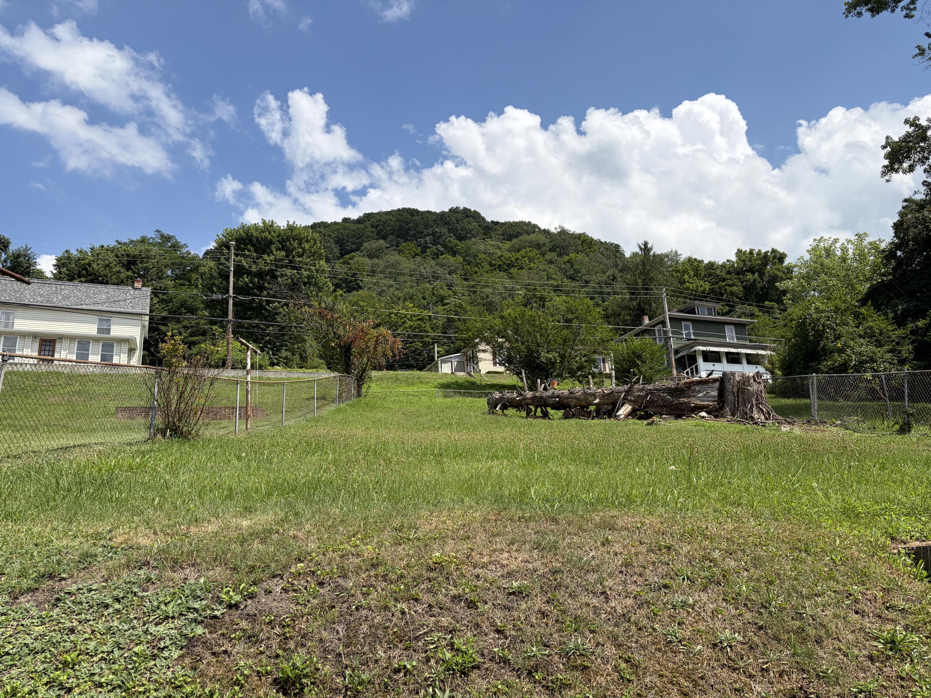 Image 4: IMG_0955