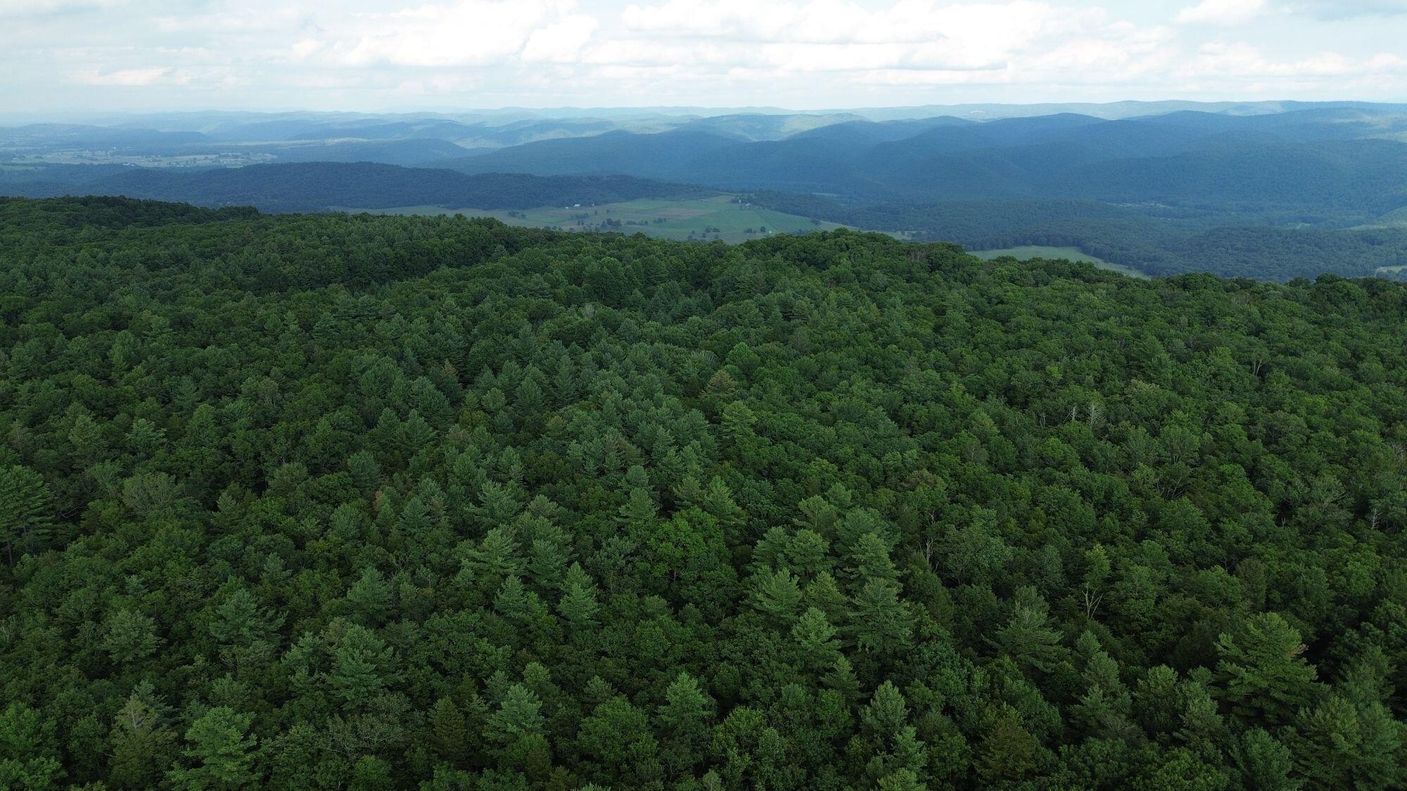 Image 3: image 805350