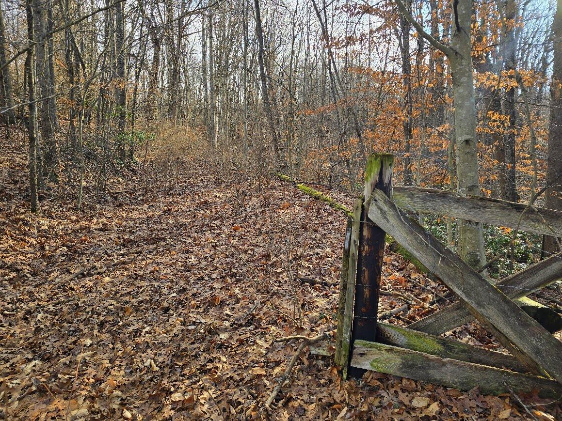 Image 1: Farm gate on Collinwood Drive
