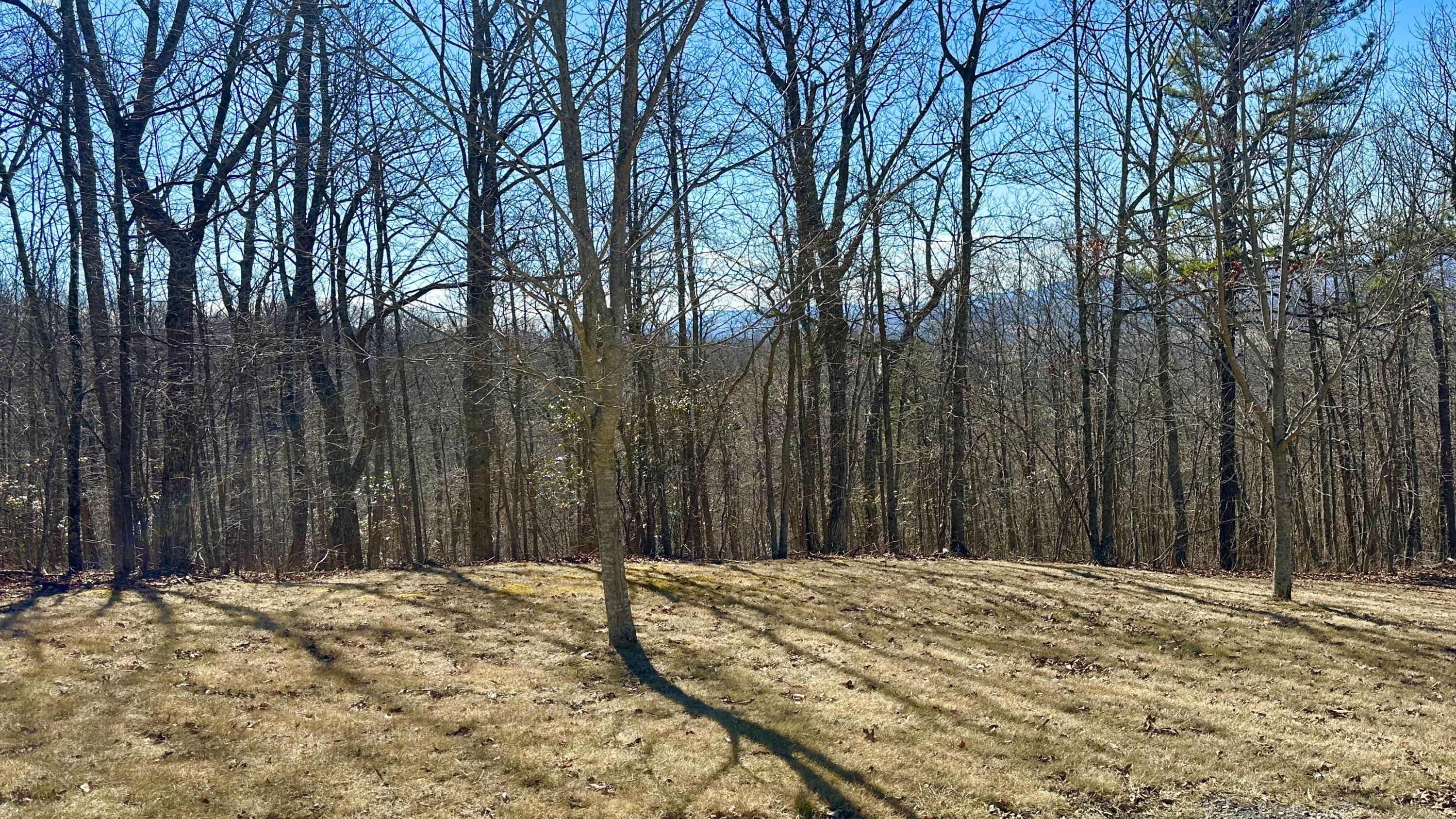 Image 1: Retreat Lot 91 1