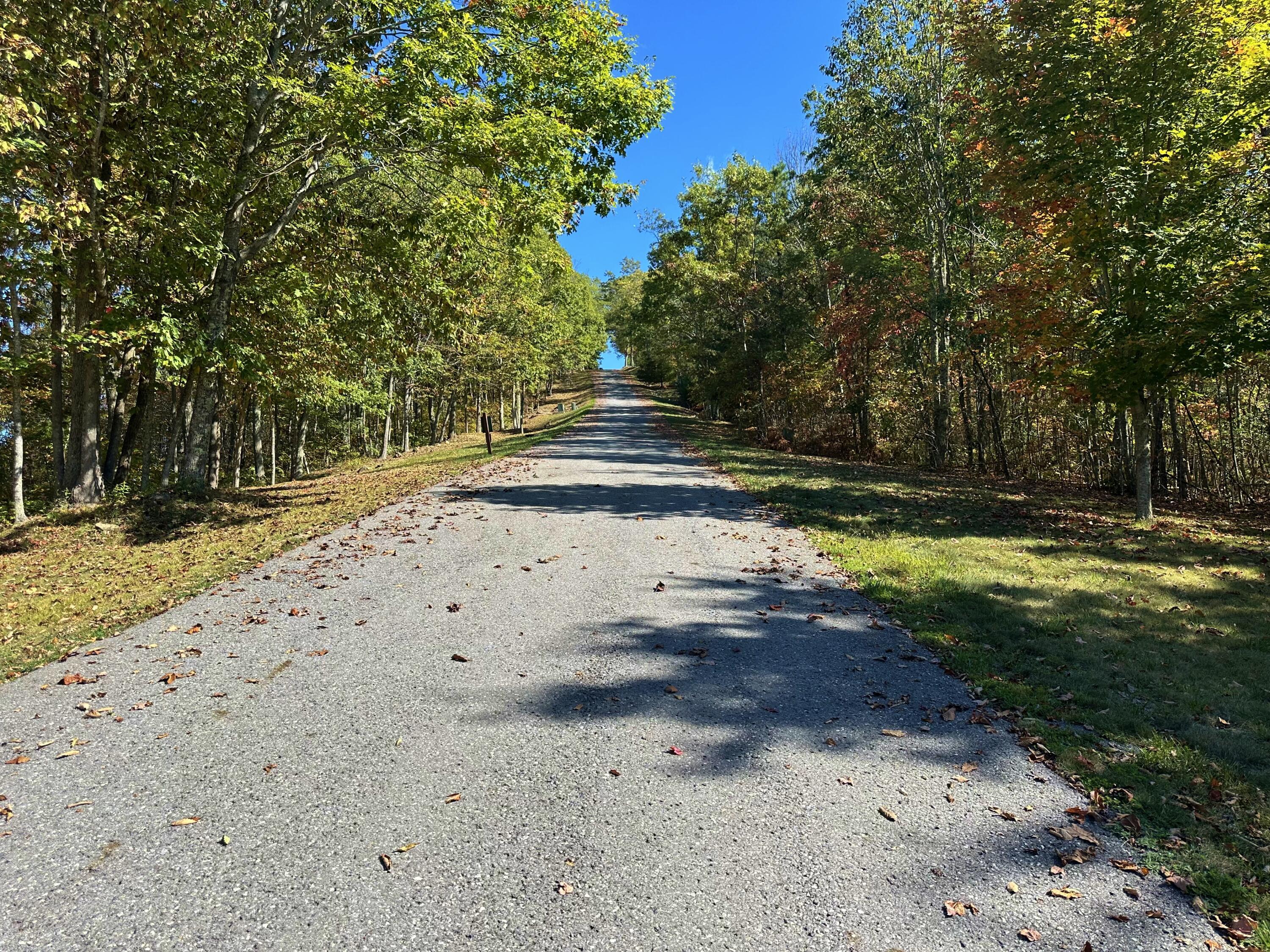 Image 4: White Rock Trail
