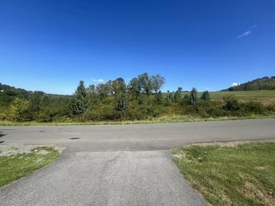 Lots 12&13 Fountains Springs Dr.