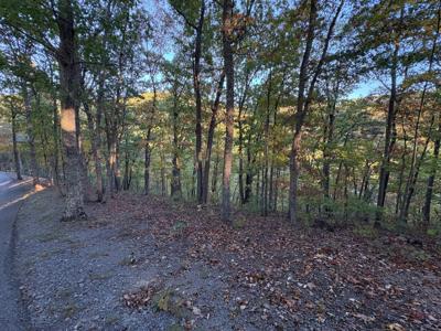 Lot 41 Wildwood Ridge