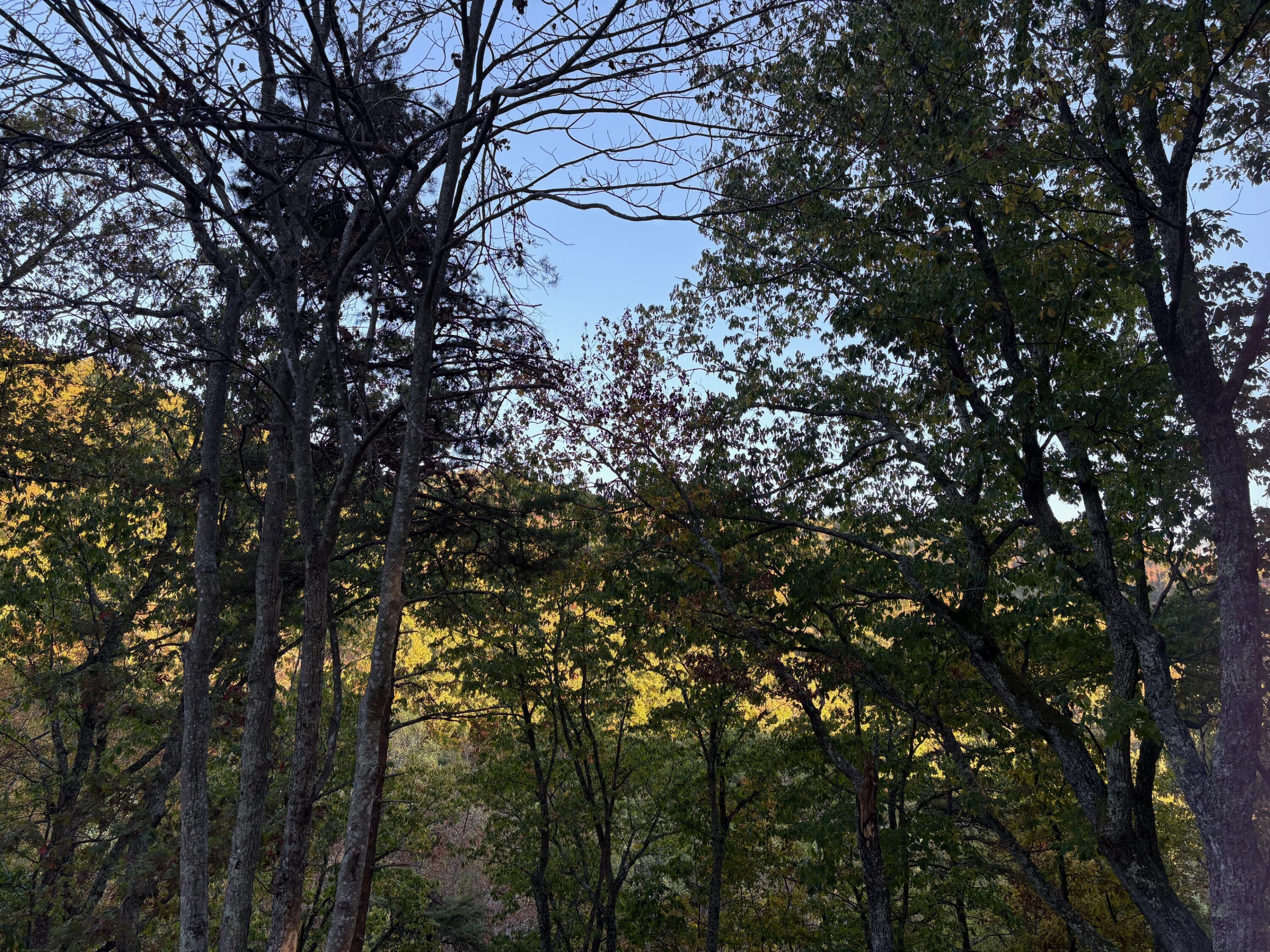 Image 4: IMG_3306
