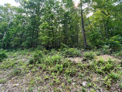 Overlook At The Greenbrier Lot 29 Katy Drive