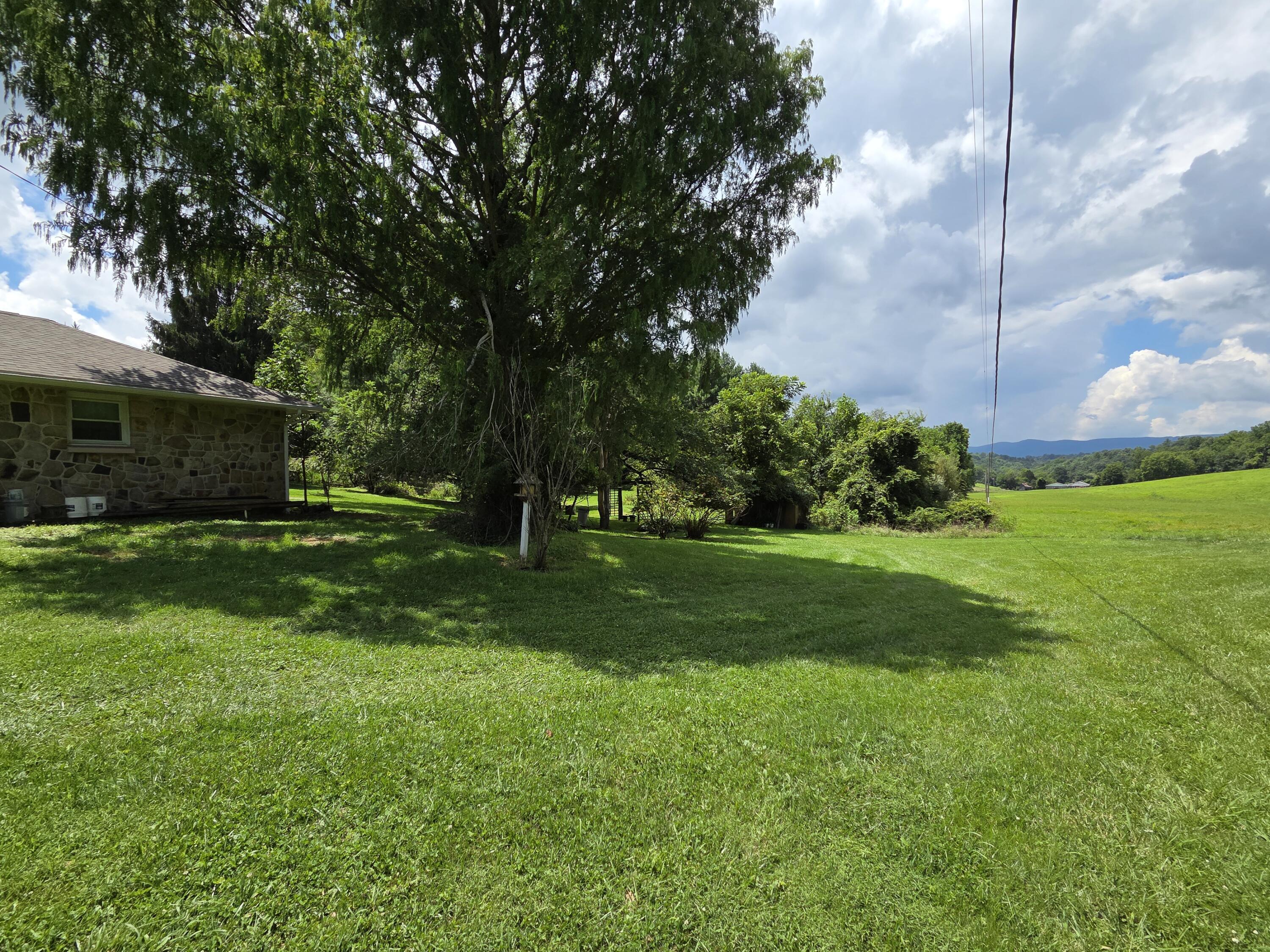 Image 4: 20250728_140416
