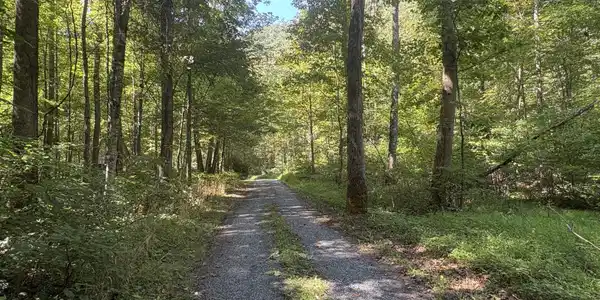Image 3: Greenbrier River Trail