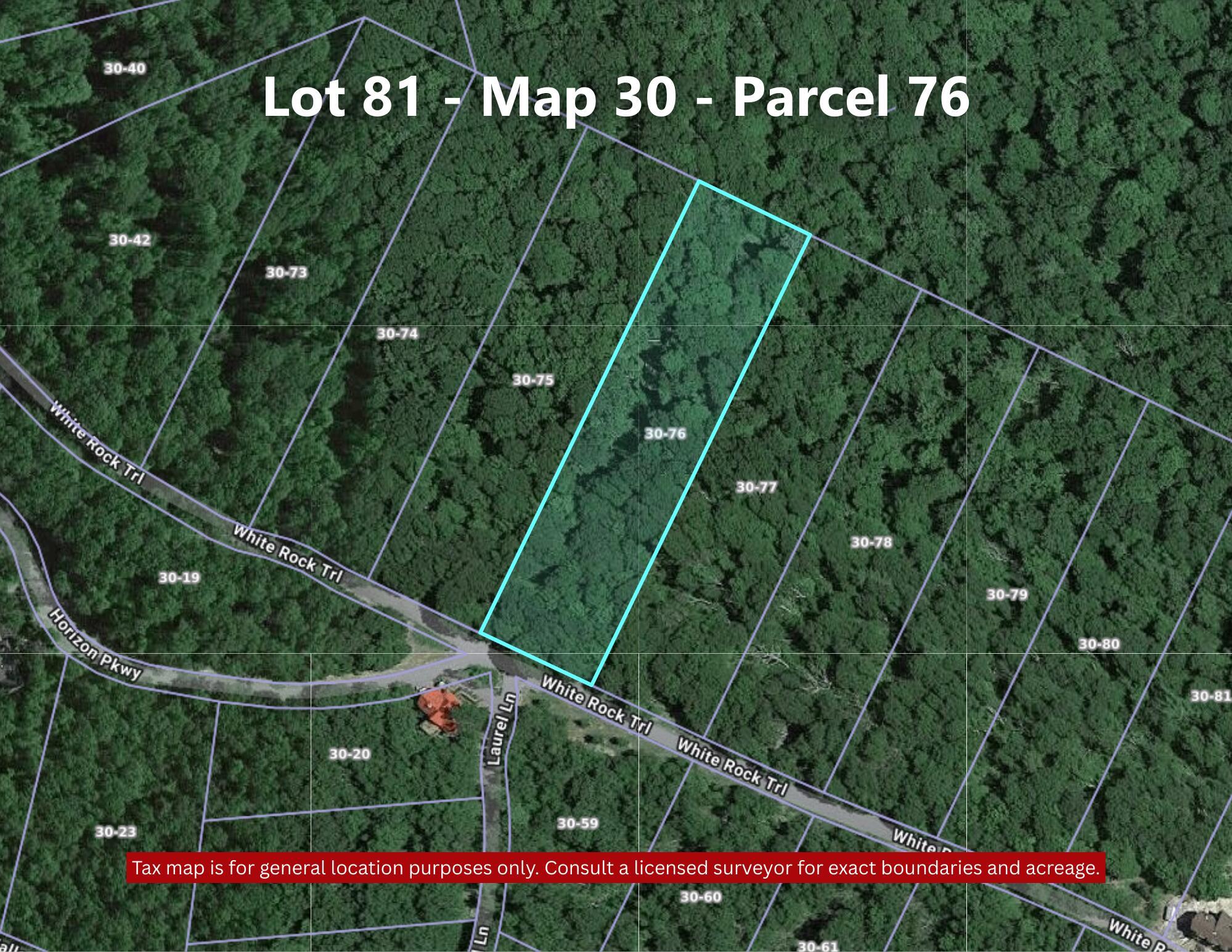 Image 4: lot 81