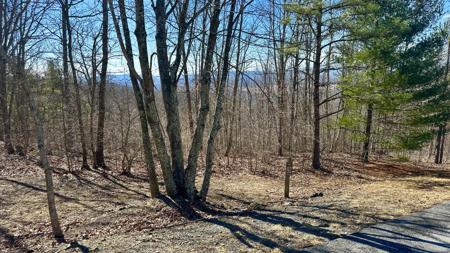 Lot 92 White Rock Trail