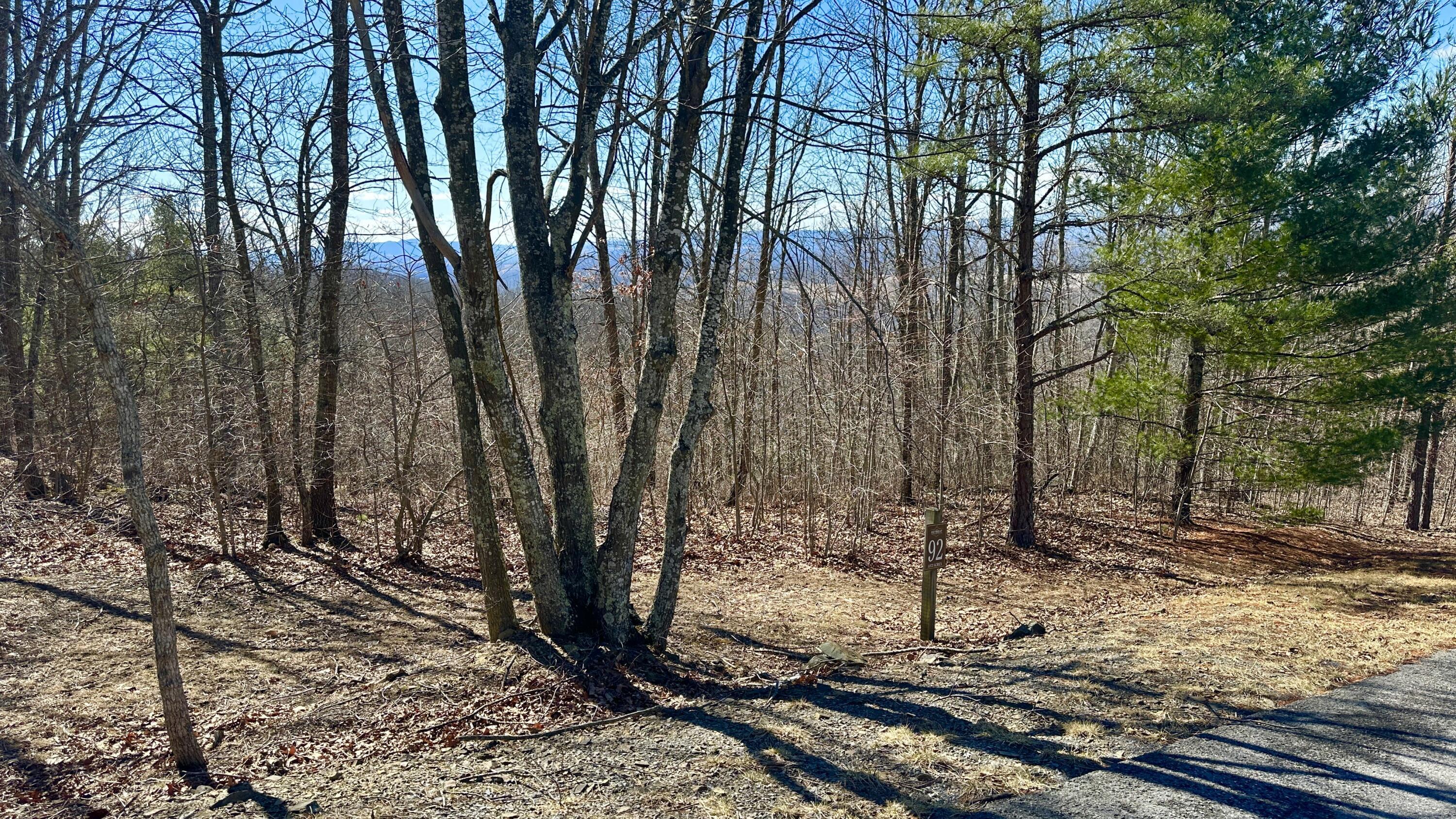 Image 1: Retreat Lot 92 1