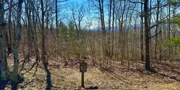 Image 2: Retreat Lot 92 2