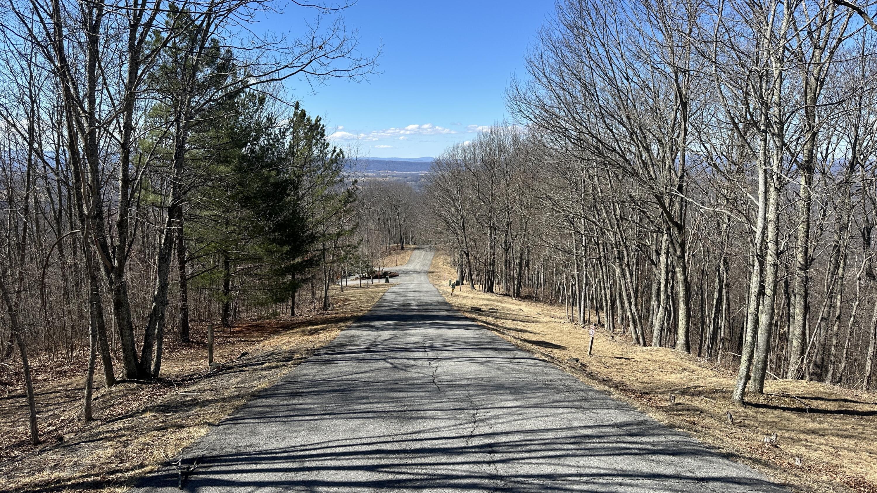 Image 3: Retreat Lots 92 and 91 road