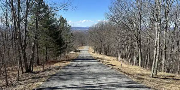 Image 3: Retreat Lots 92 and 91 road