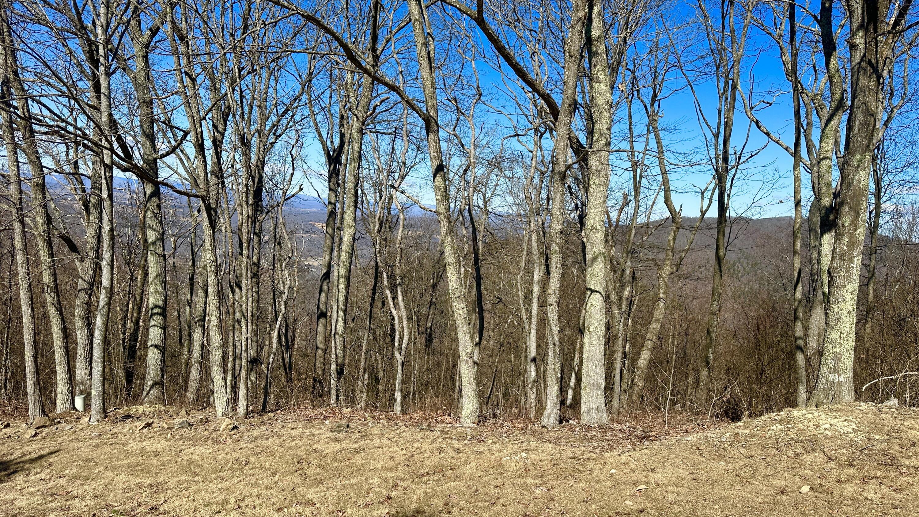 Image 4: Retreat lot 92 and 91 views from accross