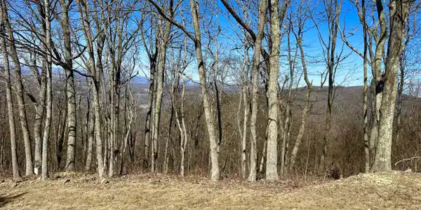 Image 4: Retreat lot 92 and 91 views from accross