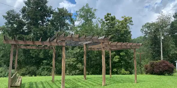 Image 4: All units pic trellis