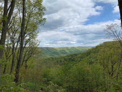 Lot 123 Withrow Landing, The Retreat