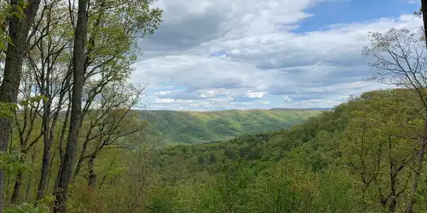 Lot 123 Withrow Landing, The Retreat