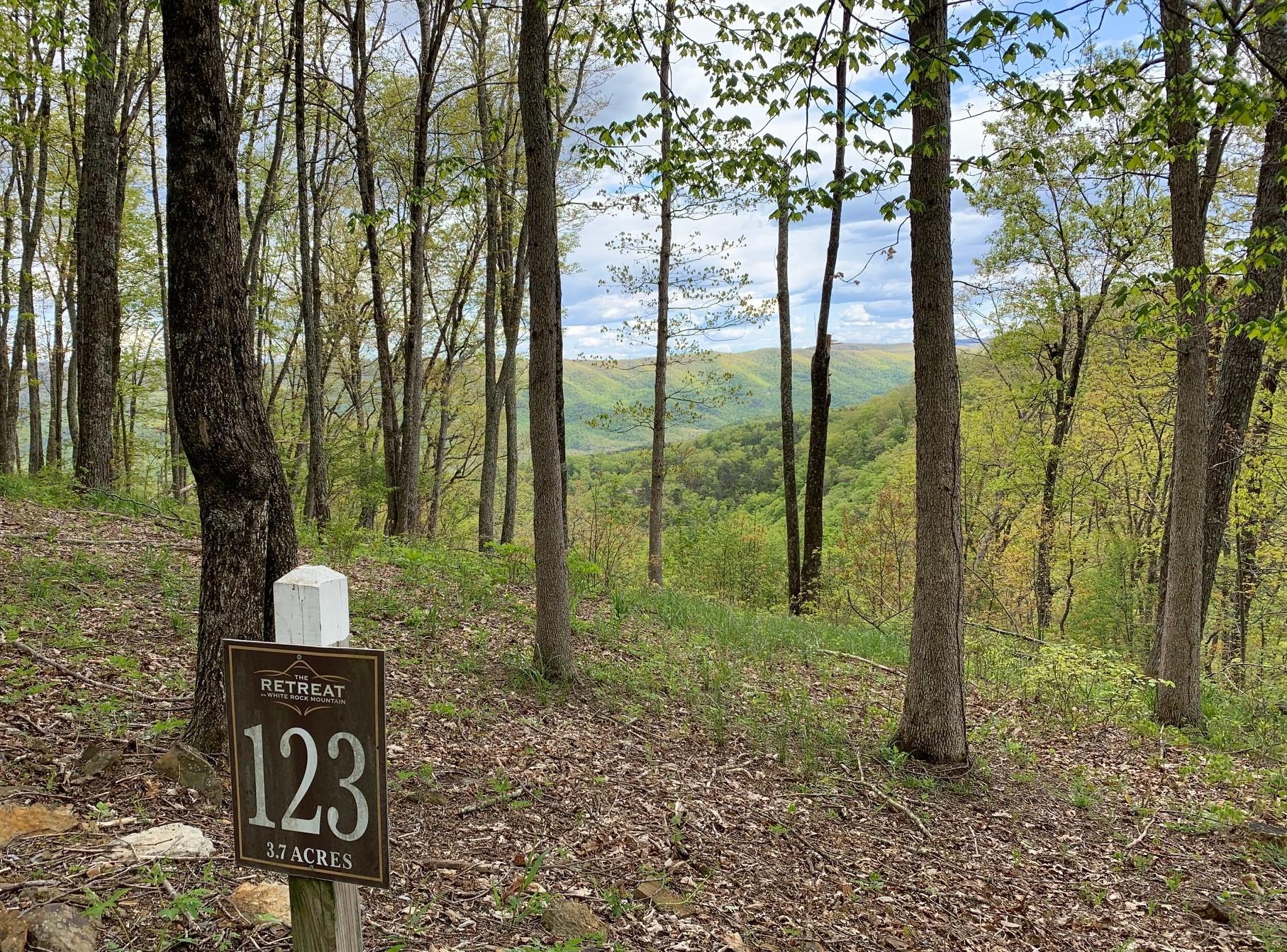 Image 2: Vann Lot 123 Pic 10
