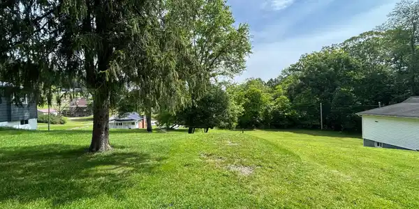 Image 2: Lot 1