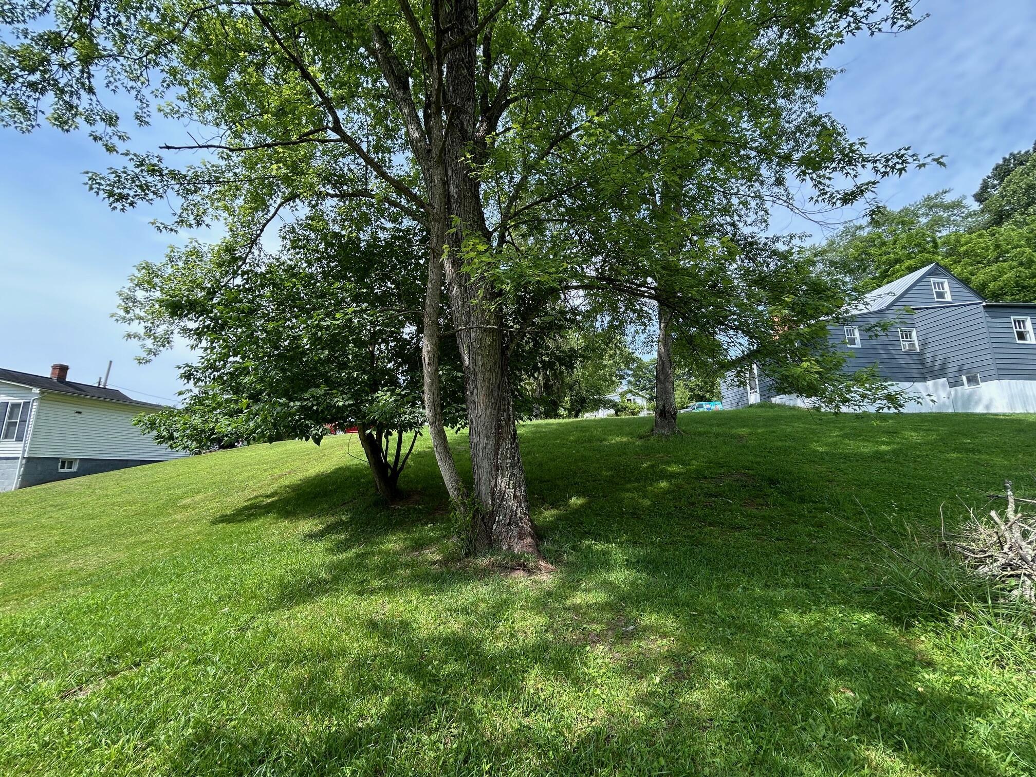 Image 4: Lot 3