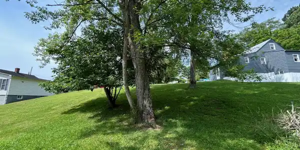 Image 4: Lot 3