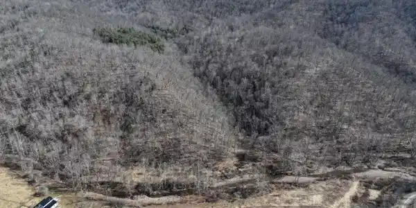 Image 2: DJI_20240221122416_0002_D