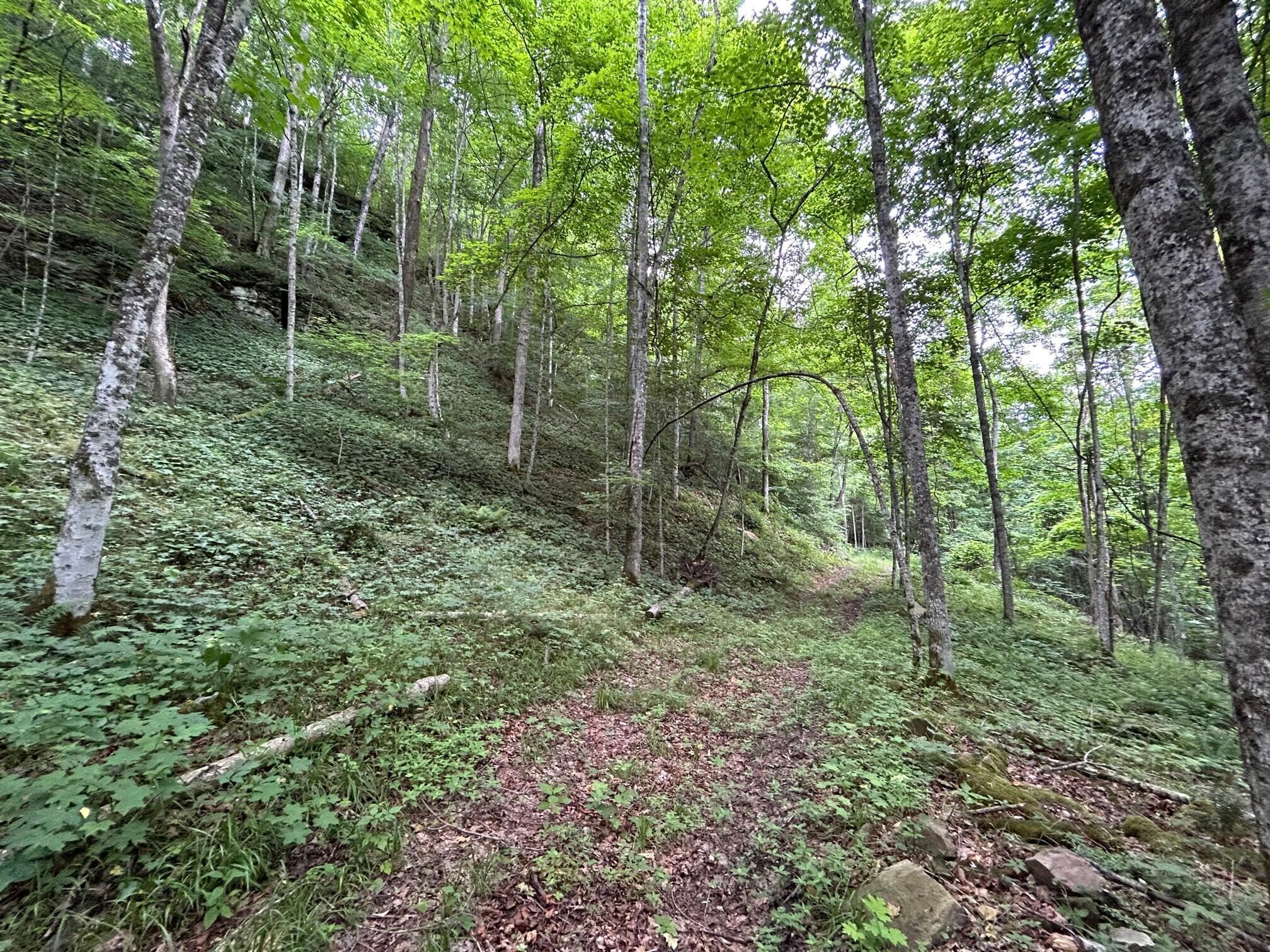 Image 4: pic 4