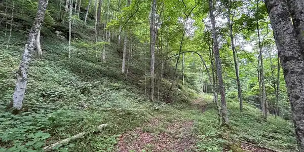 Image 4: pic 4