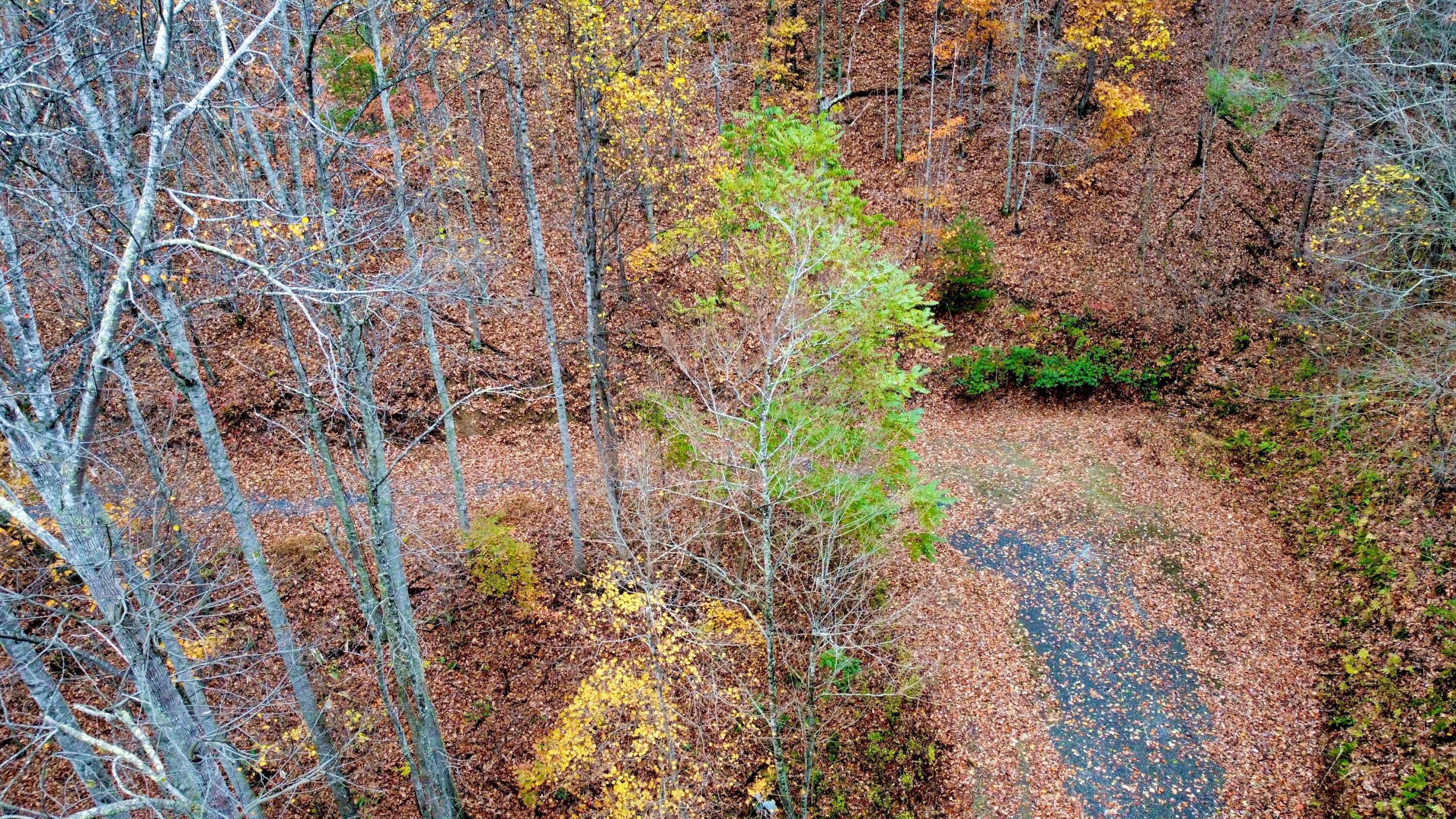 Image 3: dji_fly_20251030_173928_463_176186088112