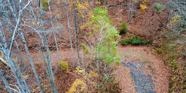Image 3: dji_fly_20251030_173928_463_176186088112