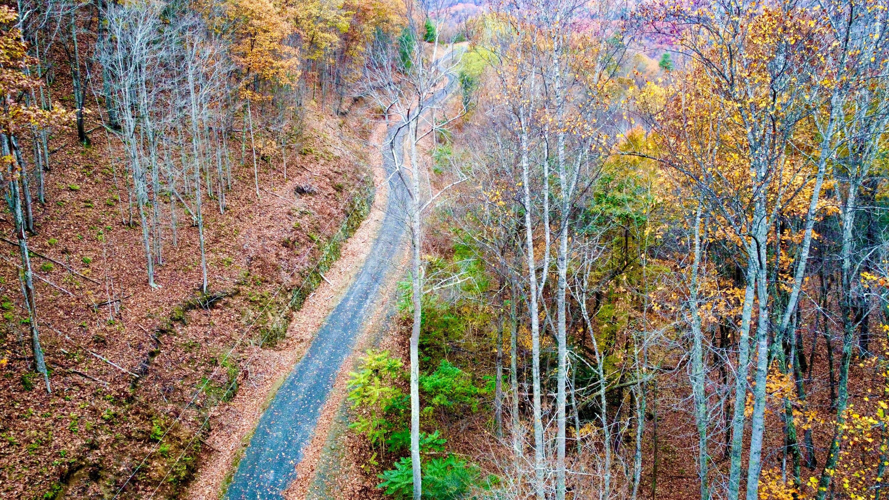 Image 4: dji_fly_20251030_174126_464_176186087965