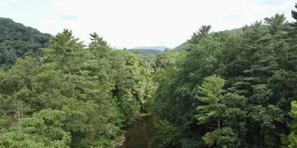 Image 4: dji_fly_20260729_103856_559_178533596793