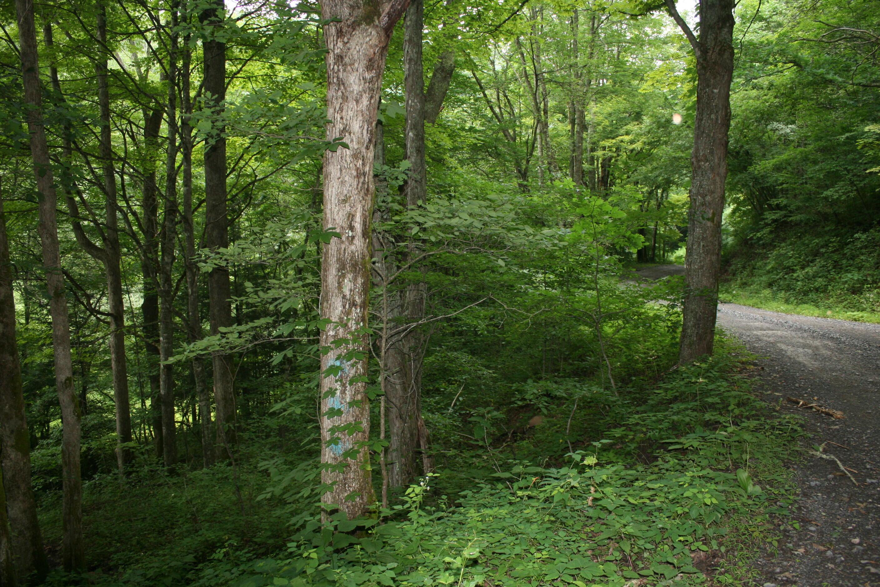 Image 2: IMG_7985