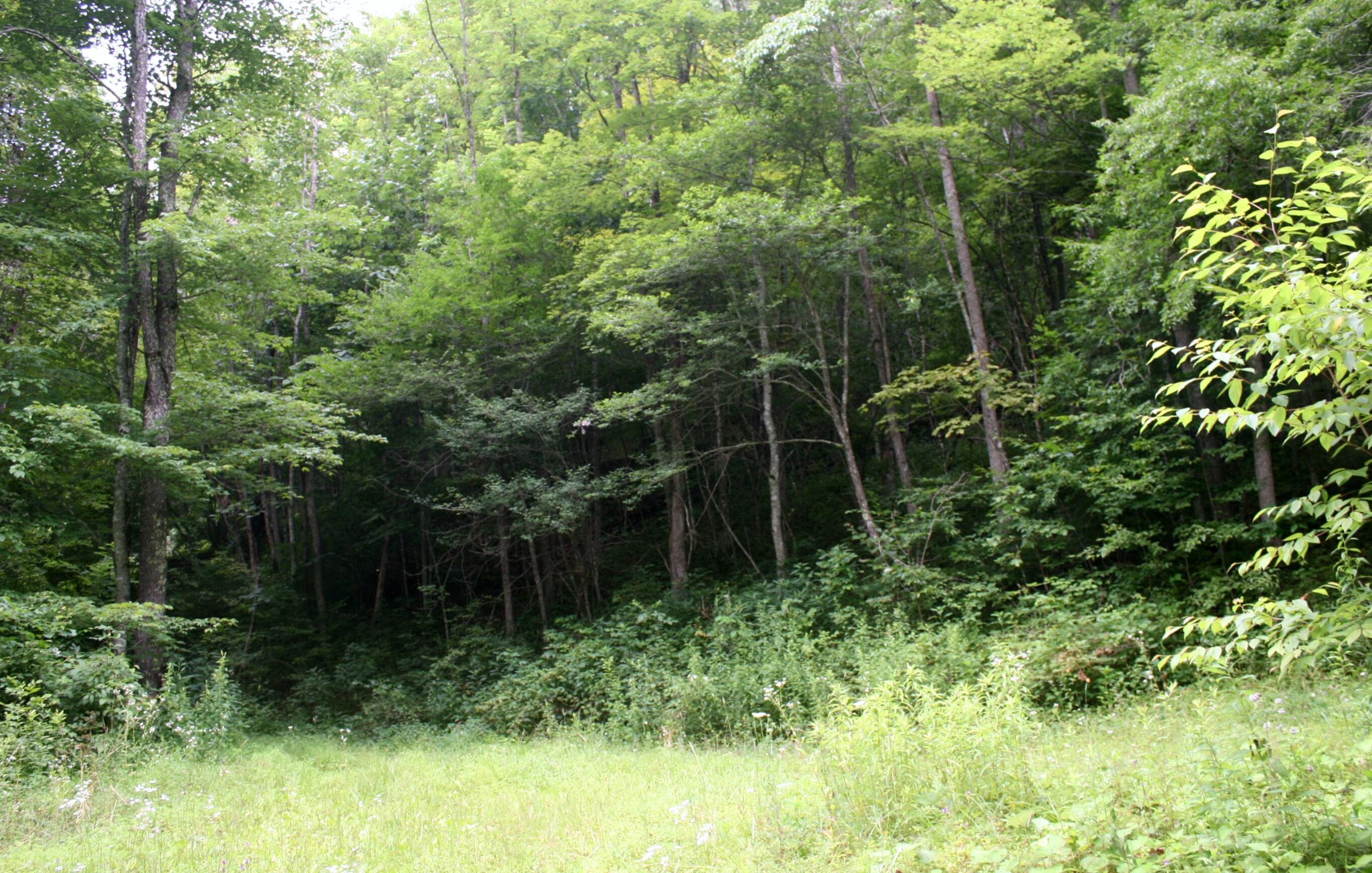 Image 4: IMG_7988