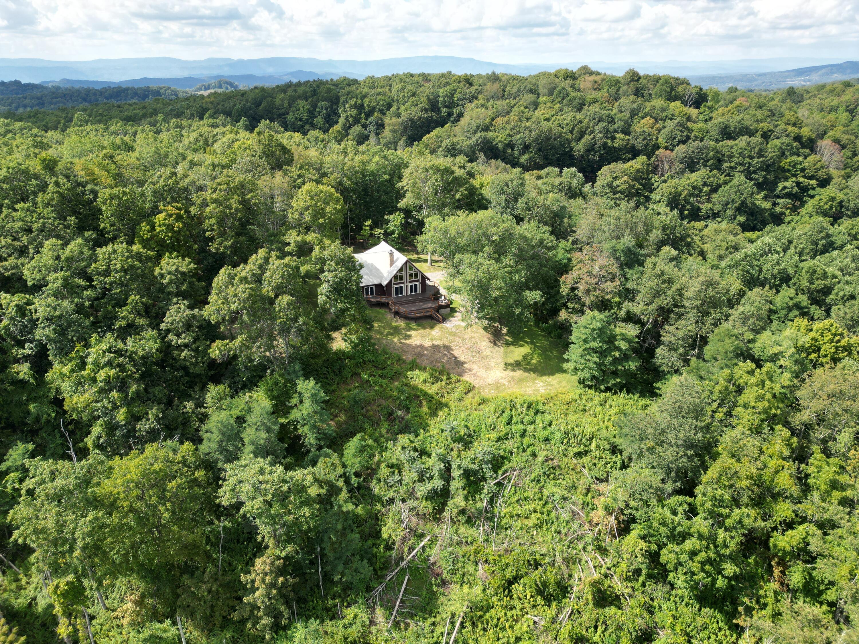 Image 3: DJI_0954