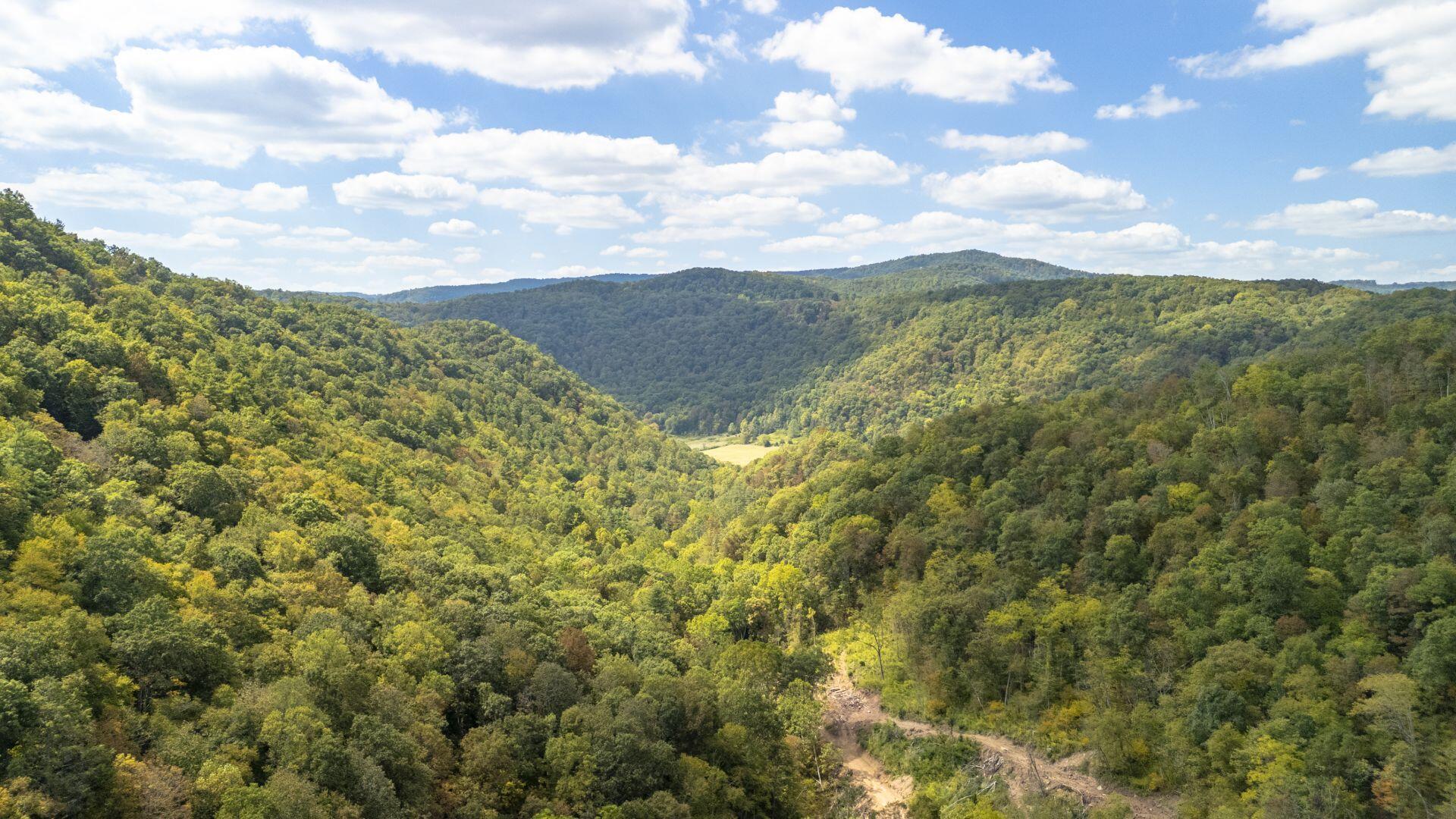 Image 1: Creekside Acres