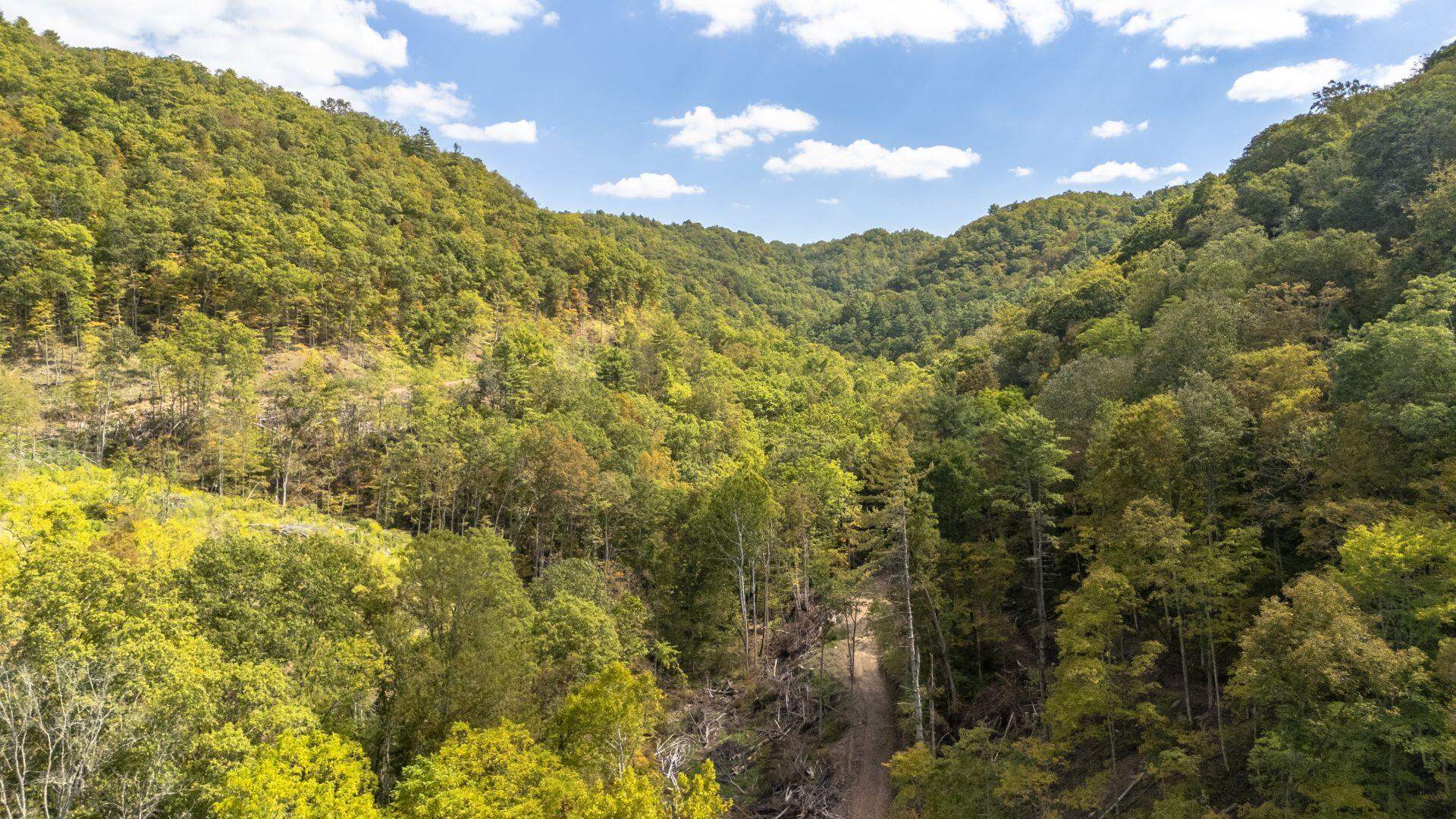 Image 3: Creekside Acres 007