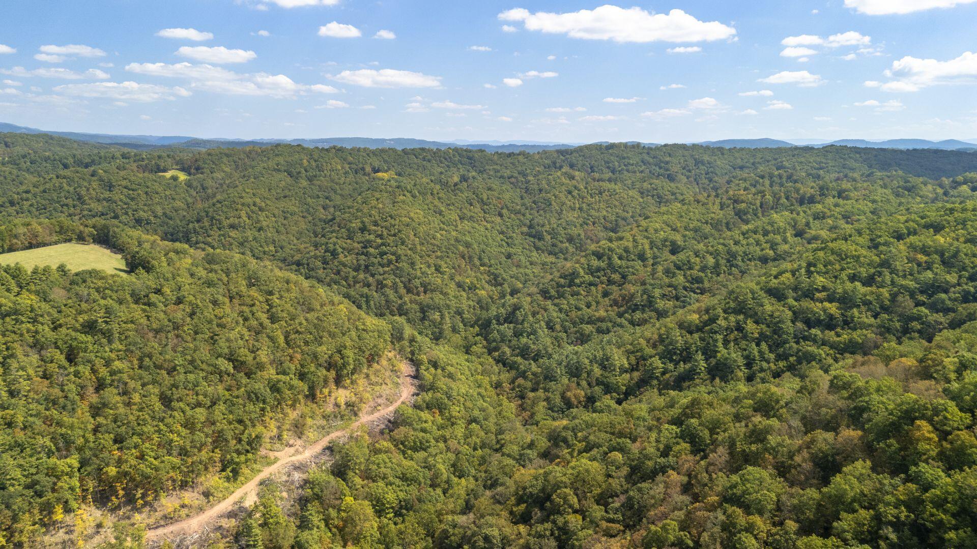 Image 4: Creekside Acres 013