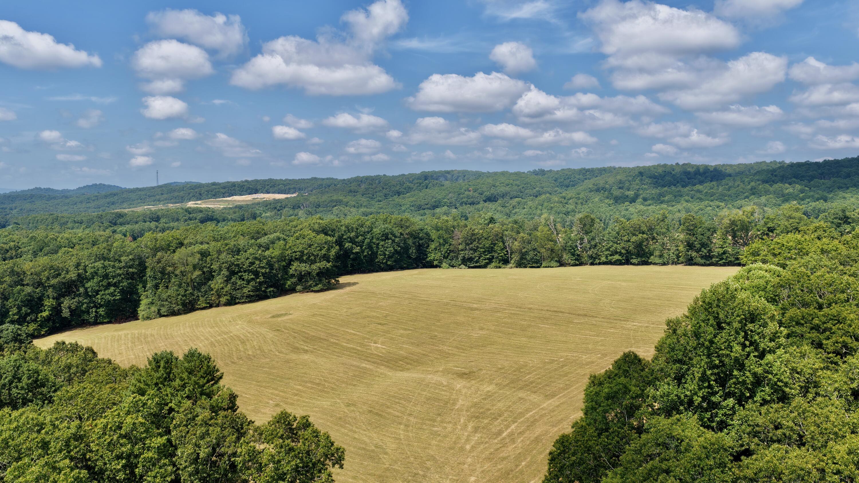 Image 3: 60 acres