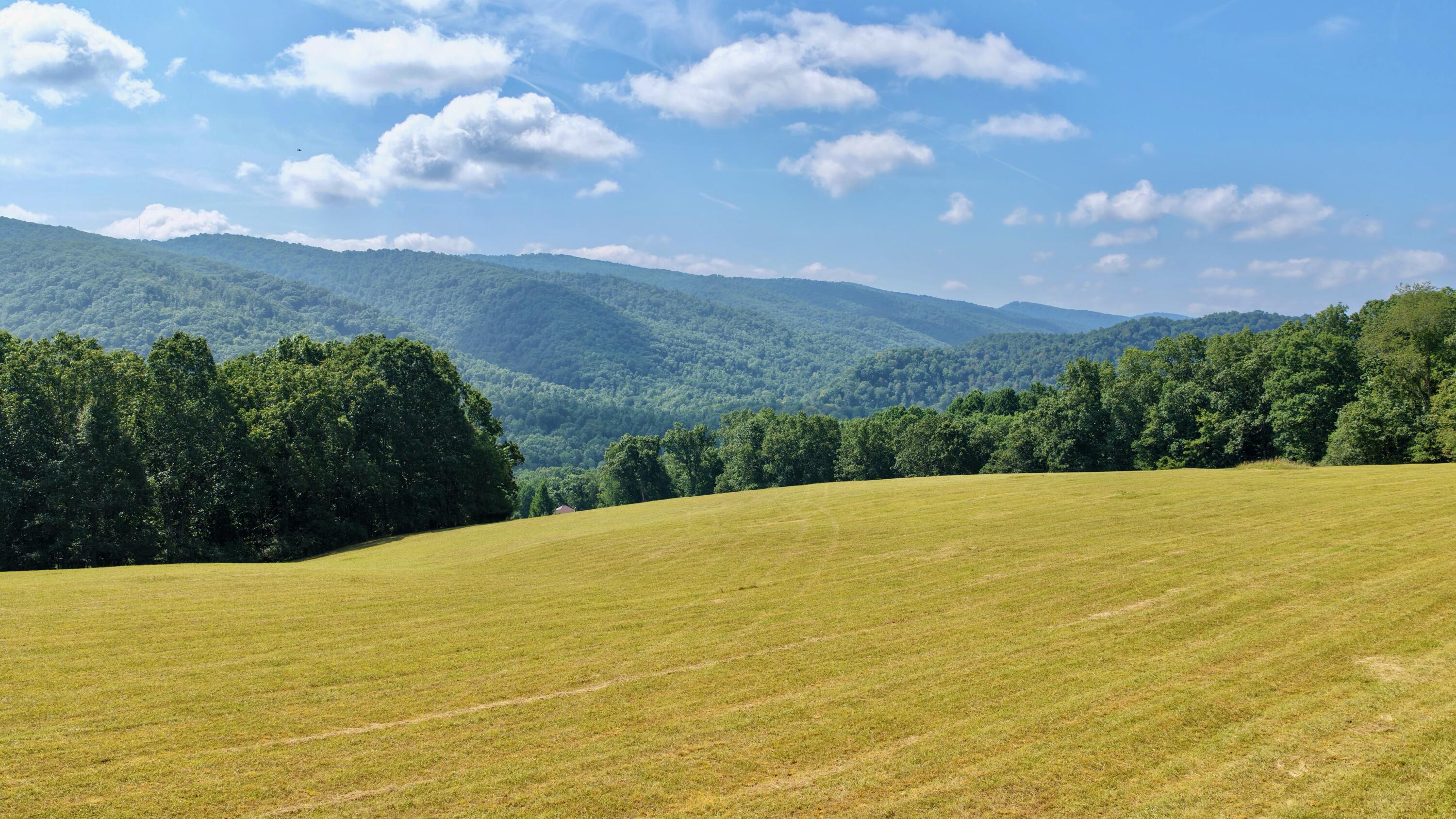 Image 4: Beautiful views