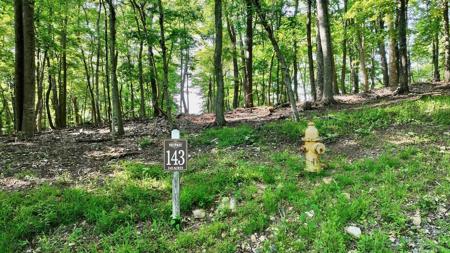 Lot 143 Withrow Lndg