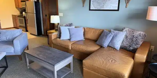Image 3: Living Room