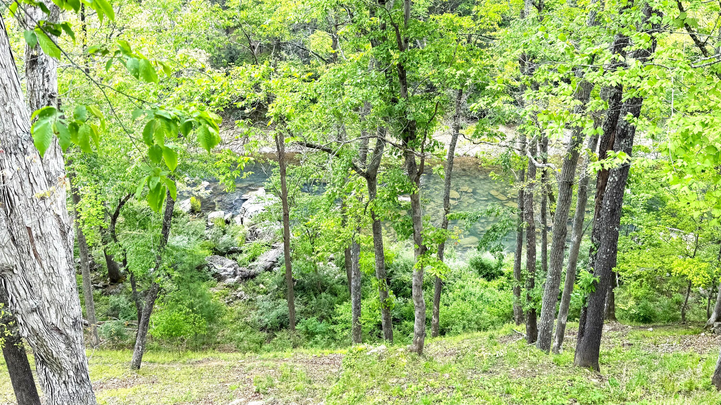 Image 2: IMG_9711