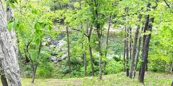 Image 2: IMG_9711