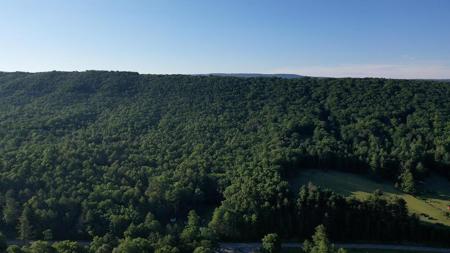 000 Moncove Lake Rd